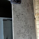 Jura Grey - Åmål  15-02-2024